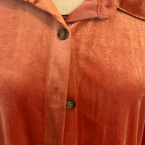 Velvet Button-Up Dress in Rust in size Medium excellent condition - Picture 7 of 9